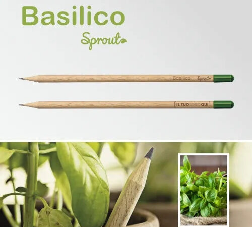 Matita Piantabile in Legno Personalizzata: il gadget green che unisce utilità e sostenibilità